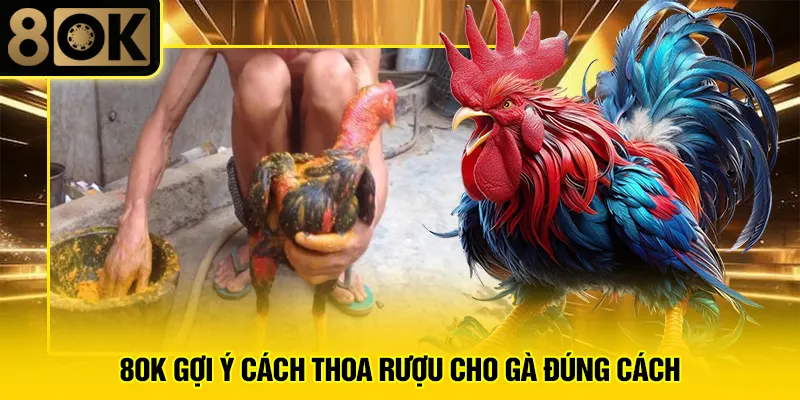 Thoa Rượu Cho Gà Đúng Cách 2 8OK gợi ý cách thoa rượu cho gà đúng cách