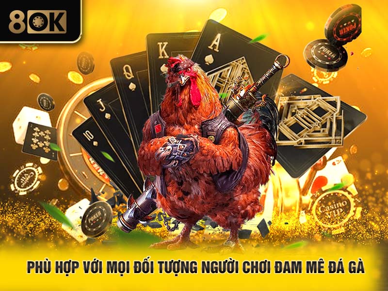 Phù hợp với mọi đối tượng người chơi đam mê đá gà