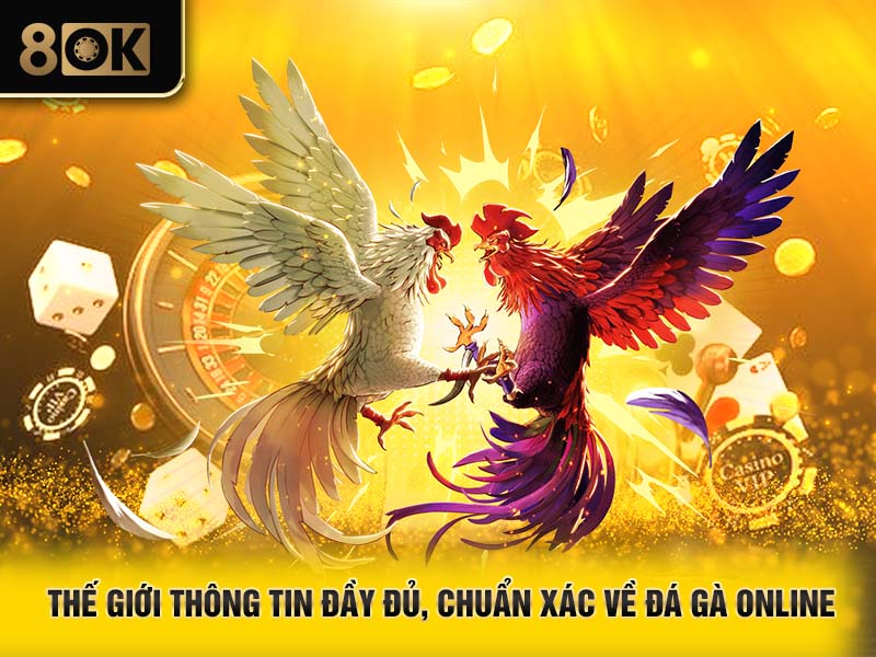 Thế giới thông tin đầy đủ, chuẩn xác về đá gà online