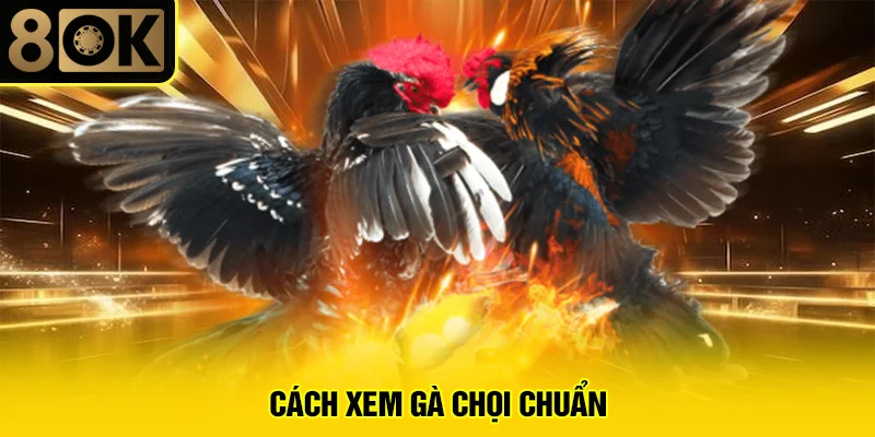 Cách Xem Gà Chọi Chuẩn