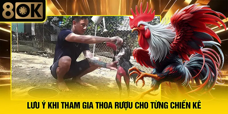 Thoa Rượu Cho Gà Đúng Cách 4 Lưu ý khi tham gia thoa rượu cho từng chiến kê
